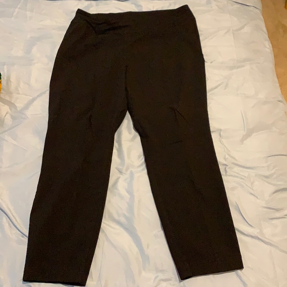 18W Westbound ankle pants